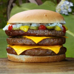 Spicy Melt Karl Burger